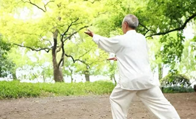 这篇文章把“太极拳的一动无有不动	”说清楚了！你学会了吗？