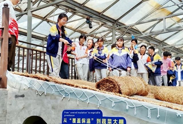 “行知潍坊”中华文化研学旅游 | 潍坊寿光：菜盐文化赋能研学育人