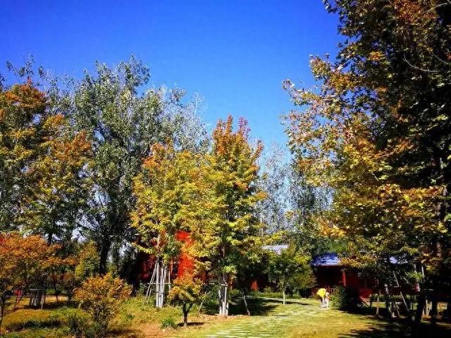 山东人，去了蒙自跟个旧，直言不讳：蒙自跟个旧差别很鲜明！