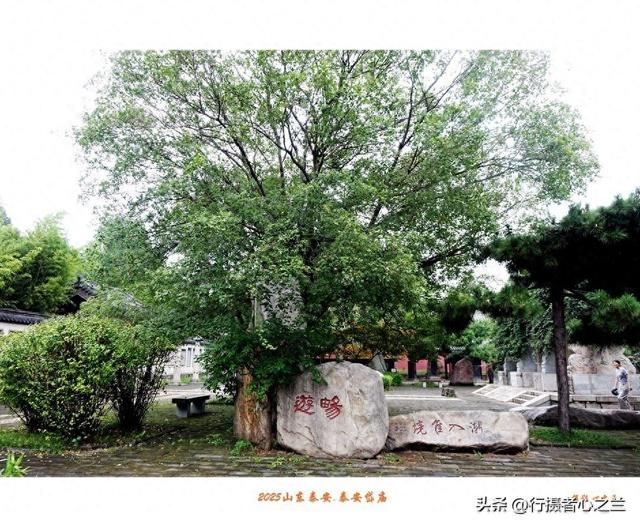 山东行游影记（315）—泰安岱庙（十一）