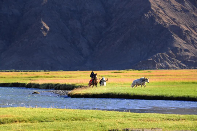 跟着《巴扎喜事》游塔县：在雪山之间，奔赴一场诗与远方的约定