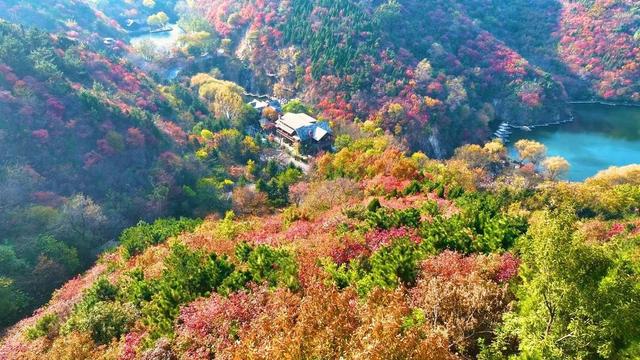 九如山推出“红叶保障计划”，让游客遇见最美风景