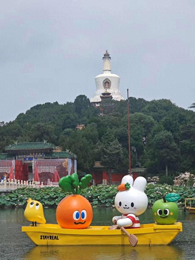 雨后北海公园：荷间藏清韵