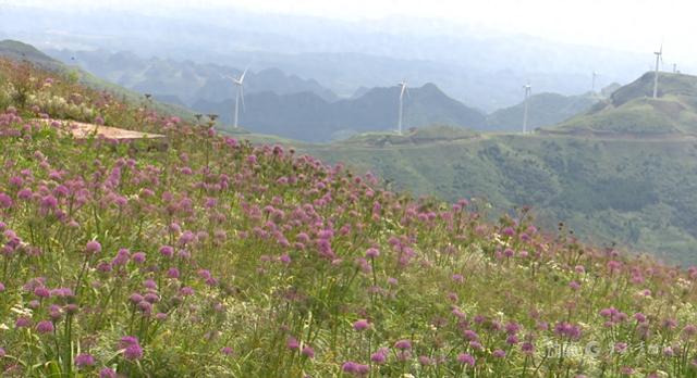 入秋后，贵州迎来错峰游高峰，“银发族”成主力