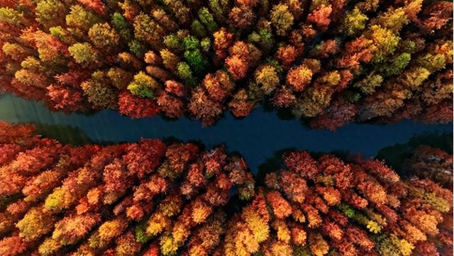 水乡金湖发出最美邀约：一起来“捞秋”