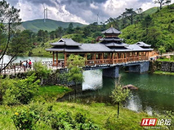 高清湖南丨茅坪湖的倒影里，藏着南山最美的夏天
