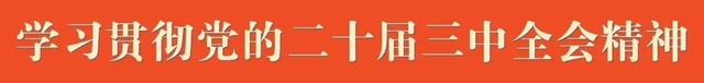 来宾4A级旅游景区名单全新公布！你打卡过几个？