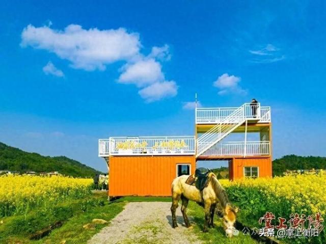 衡阳最撩人的“花海”合集，一键收藏