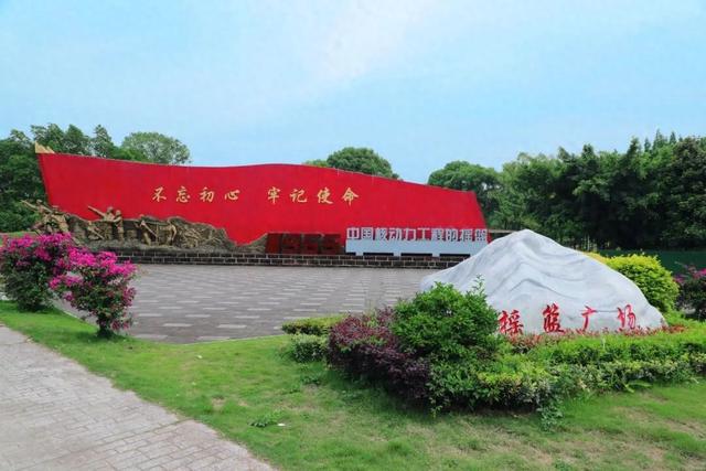 这就是乐山的“金山银山”！