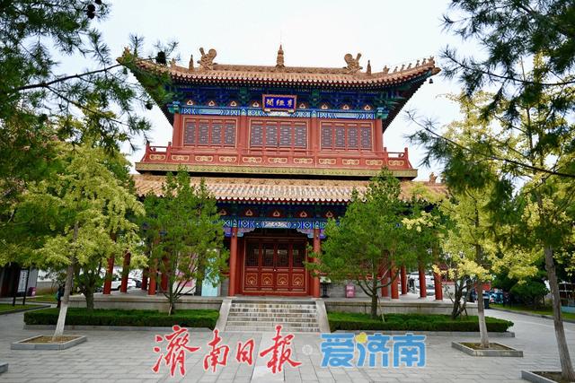 黄绿交织，邂逅文庙别样秋韵