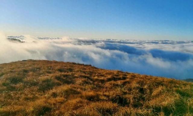 武都秋韵：一城诗意染山河