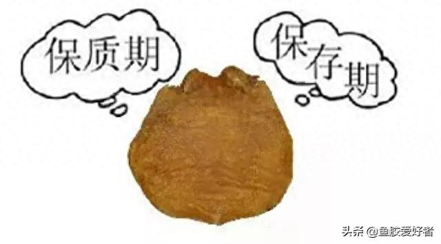 鱼胶有保质期吗 2026年鱼胶怎么保存鱼胶有保质期吗