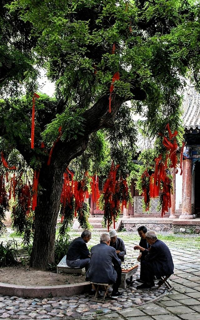 妈妈的谎言