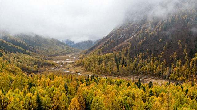 中不边境争端，藏南战略要地鲁林，可直插印度的咽喉之地