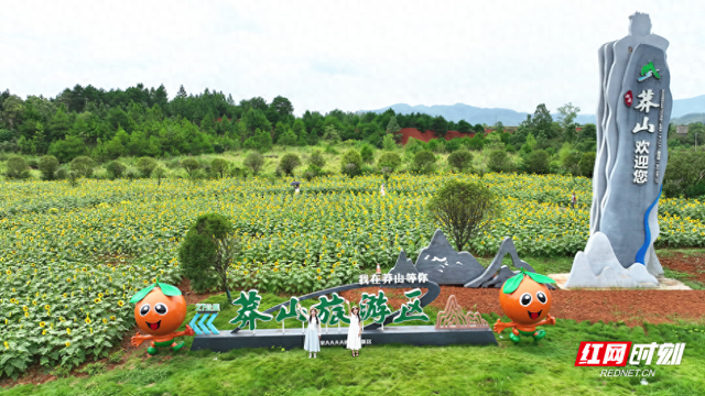 2025年郴州旅游发展大会 | 宜章县：葵花盛开迎旅发