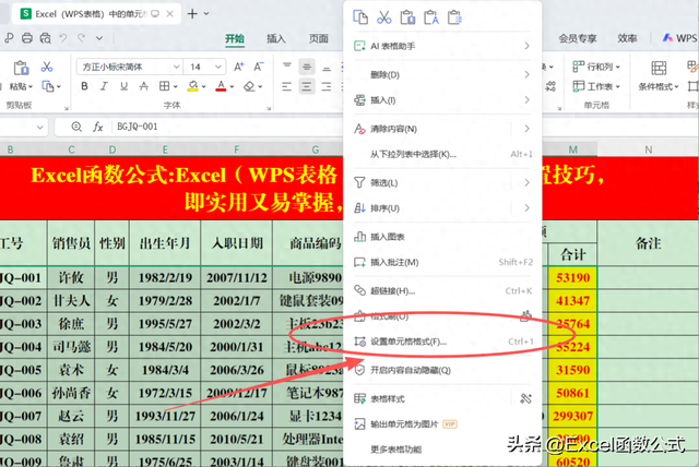 如何在excel中设置表格的框（ExcelWPS表格中的单元格格式设置技巧）