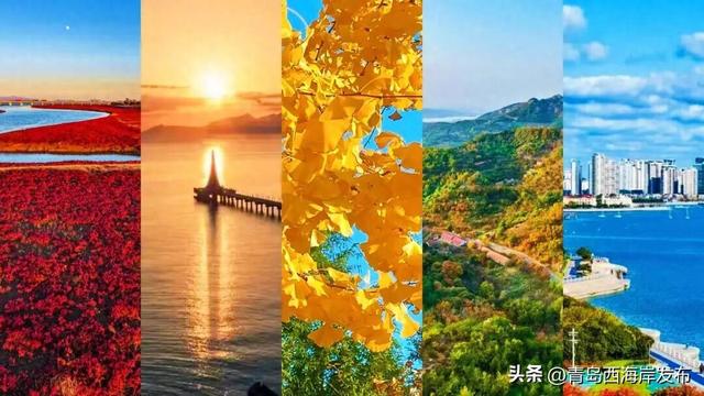 好！多！颜！色！啊！