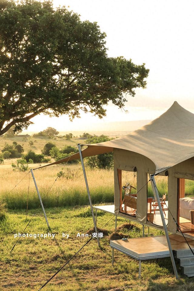 【坦桑尼亚】：法式的精致与东非丛林的狂野，无缝衔接！