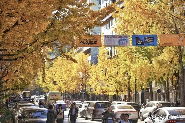 滇超在五华 | 滇超联赛期间在昆明主场怎么玩？这条赏杏观鸥·春城浪漫游线路请收藏！