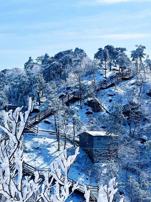 山东冬日奇观即将陆续上演，冰雪里的自然史诗等你解锁！