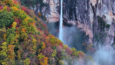 西安这两个公园官宣：开园啦！