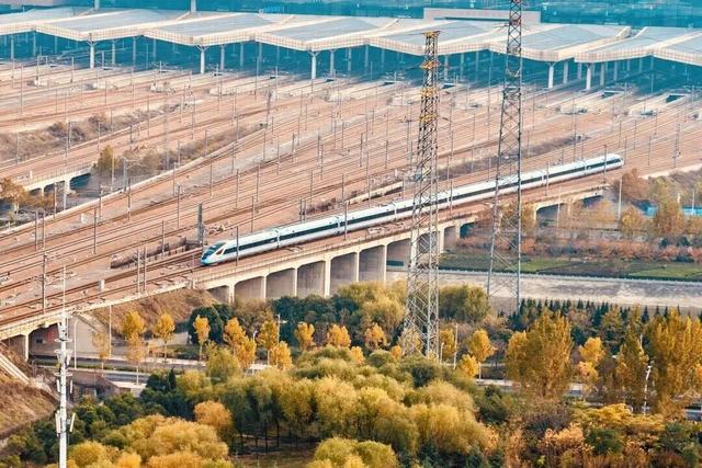 最佳观赏期即将结束！河南这些美景错过要再等一年