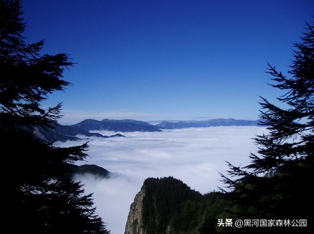 五一提前错峰出游！西安周边宝藏秘境，山清水绿洗肺养心，周末就出发