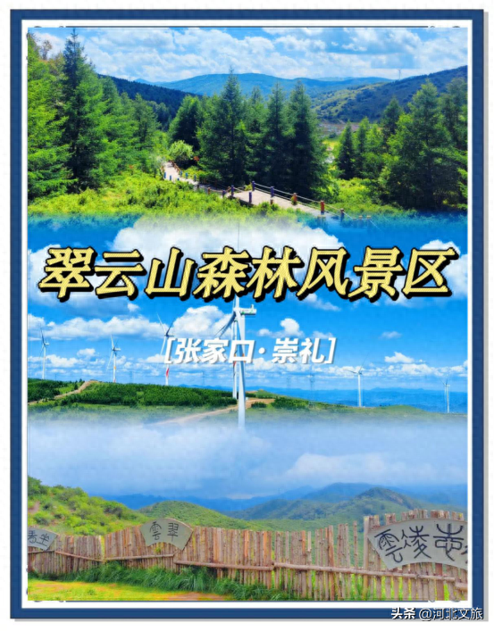快来翠云山森林风景区领略多样风光