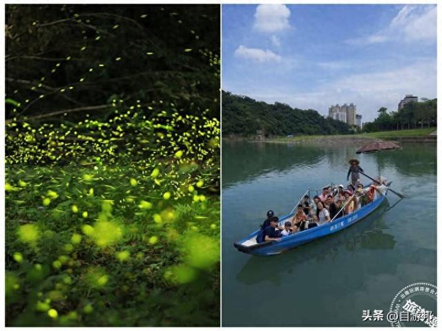 和美山碧潭水陆绿色生态旅游 摆渡赏萤趣