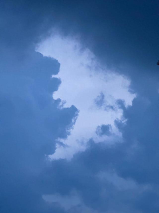 从平原到江南:我的"花甲″迁徒记