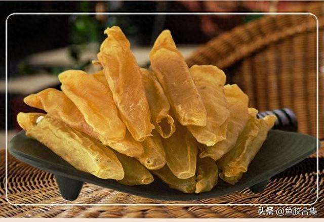 黄花胶图片 2026年黄花胶图片和价钱