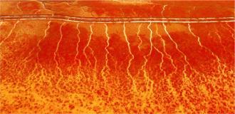 霜降时节 秋色撩人