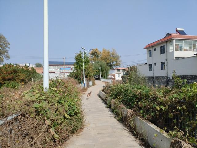 看了许世友指挥所