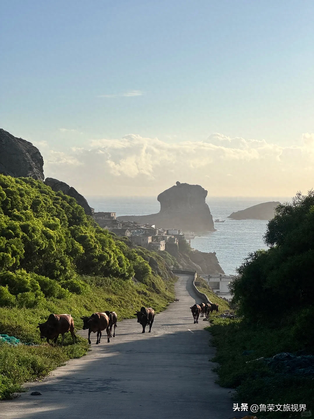 隐匿在广东的冬日秘境：恩平，一座20℃暖冬里的温柔小城