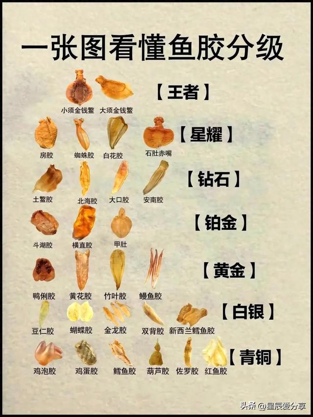 2花胶等级价格 2026年花胶的价格分几个档次 2花胶等级价格 2026年花胶的价格分几个档次