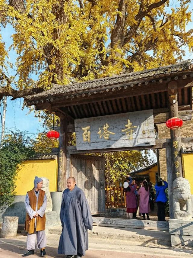 藏在秦岭天子峪里的低调古刹，1700年银杏为伴无商业化知道在哪吗