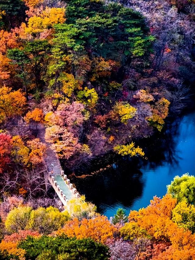 你一定不知道鞍山——藏着三项世界级"硬通货"