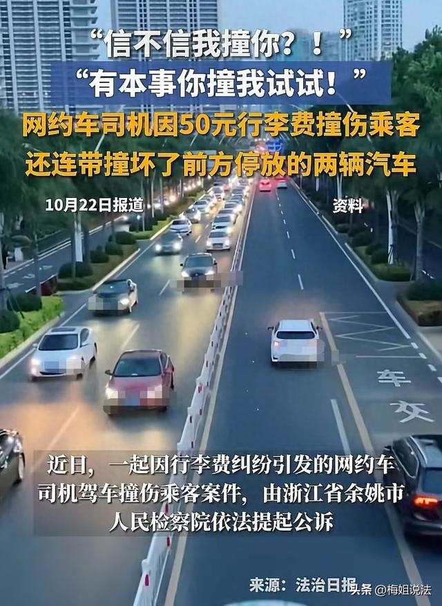 司机因50元行李费被乘客投诉，一脚油门撞飞对方被判故意伤害罪