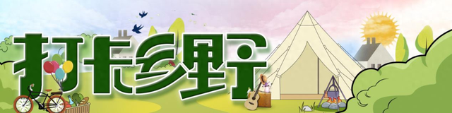 打卡乡野丨当云朵“坠”入窗沿，我在魔都近郊找到了现实版“归园田居”