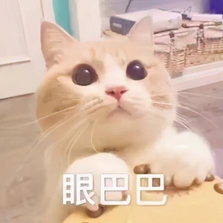 和平精英突变来袭下载（和平精英1118版本更新）