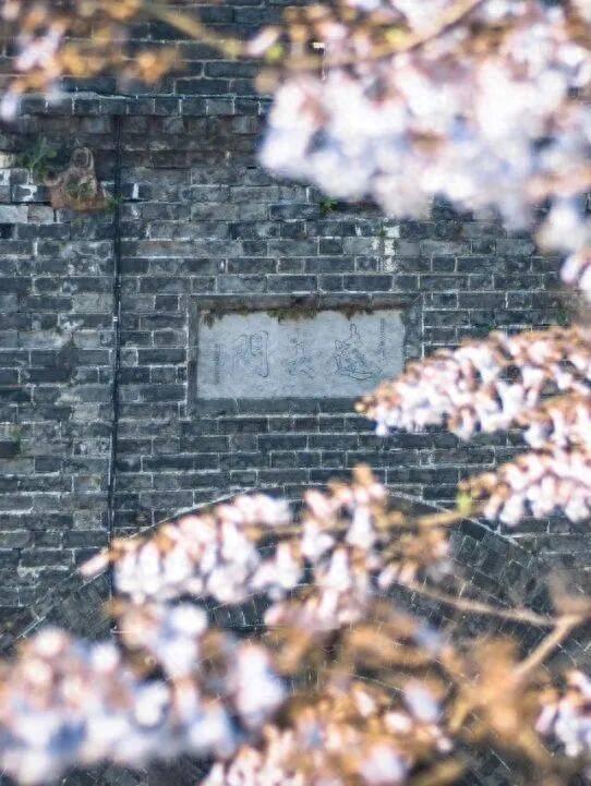 春假“王炸”攻略！绝美线路+地道风味，荆州区等着你