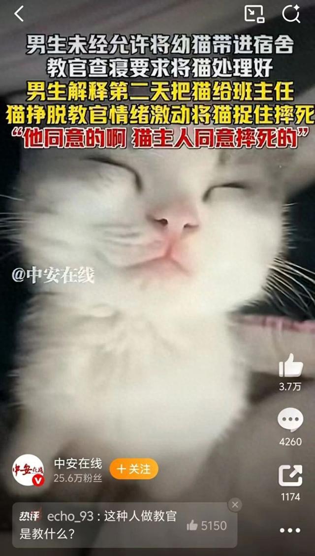 查寝摔猫致死宿管抱怨“被网暴”：“谁养的都不敢承认，怪得了谁”