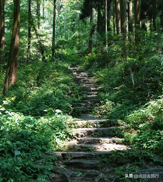 成都都江堰钻石徒步线路，都不要门票，360度观景台，让人惊叹！
