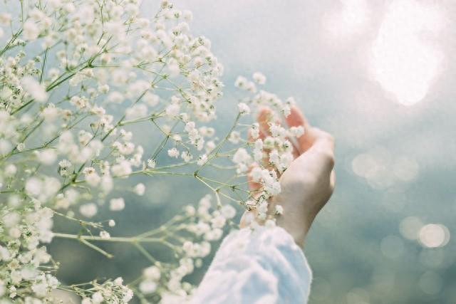 一个人很好的唯美句子（一个人独处的唯美句子）