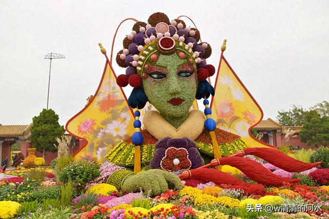 菊花是秋天里绝美的画卷