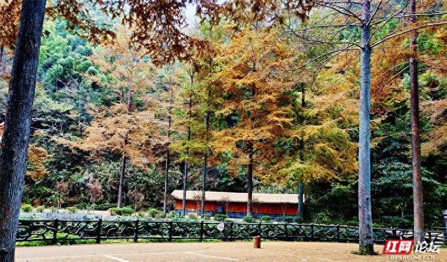 岁暖时刻丨奉嘎山：一座会呼吸的山，把人间烟火酿成了诗