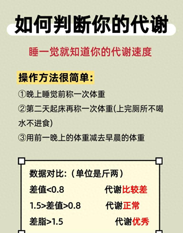 两周“瘦出骨感”！跟着吃就对了