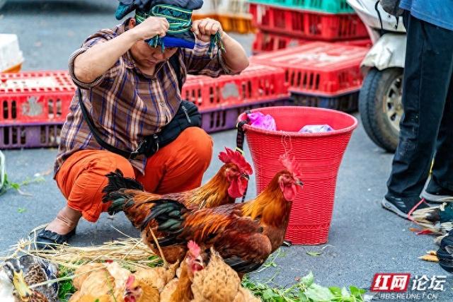 秋游时刻丨湘西苗族聚集地的赶集日常，藏着最鲜活的民族烟火