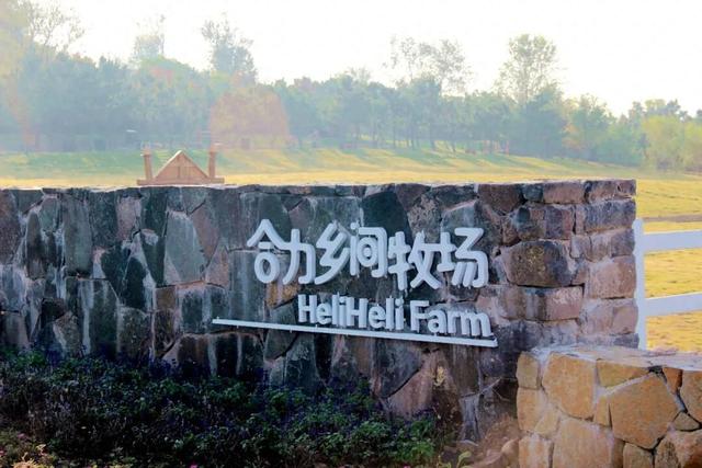 火遍潍坊的宝藏遛娃地！3w+人打卡的亲子牧场，1h直达~