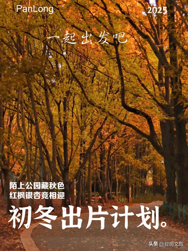 初冬出片C位！昆明这个地方必须榜上有名，周末抓紧冲~